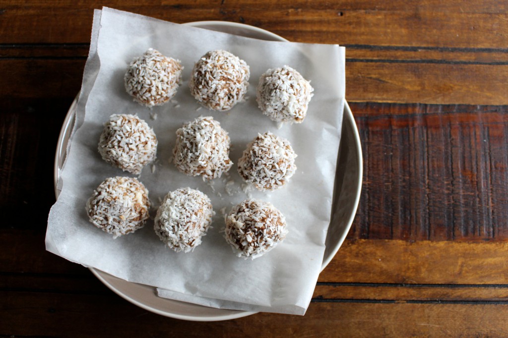 High protein balls